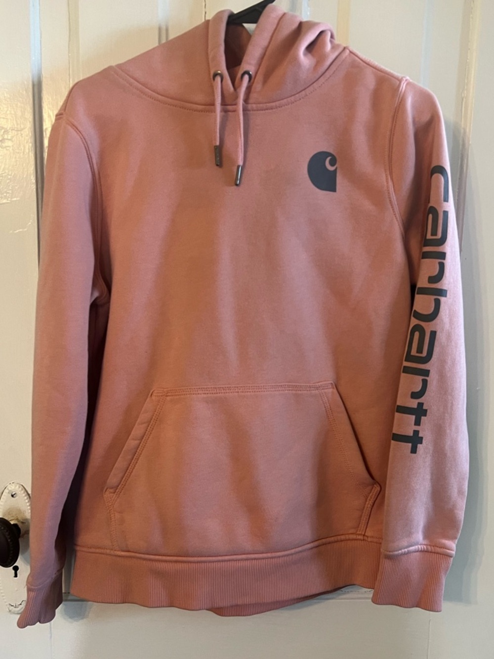 Carhartt Relaxed Fit Hoodie in Dusty Rose